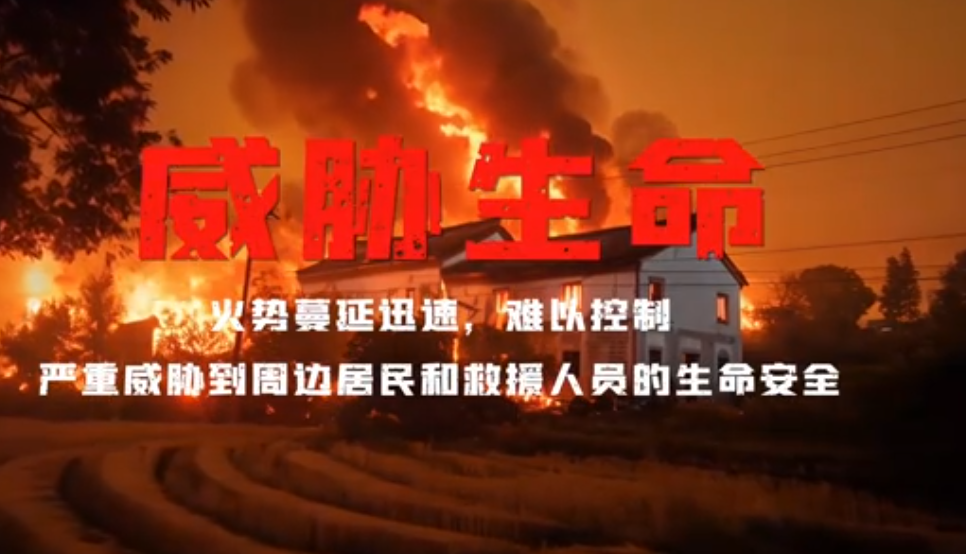 公益宣传片｜森林防火 人人有责