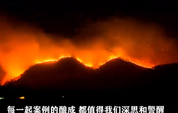 森林防火公益宣传片丨共享森林美景 严防森林火灾